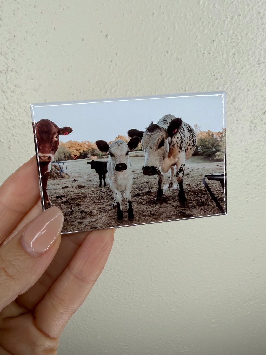 Custom Photo Magnets - 2"x 3" Rectangle
