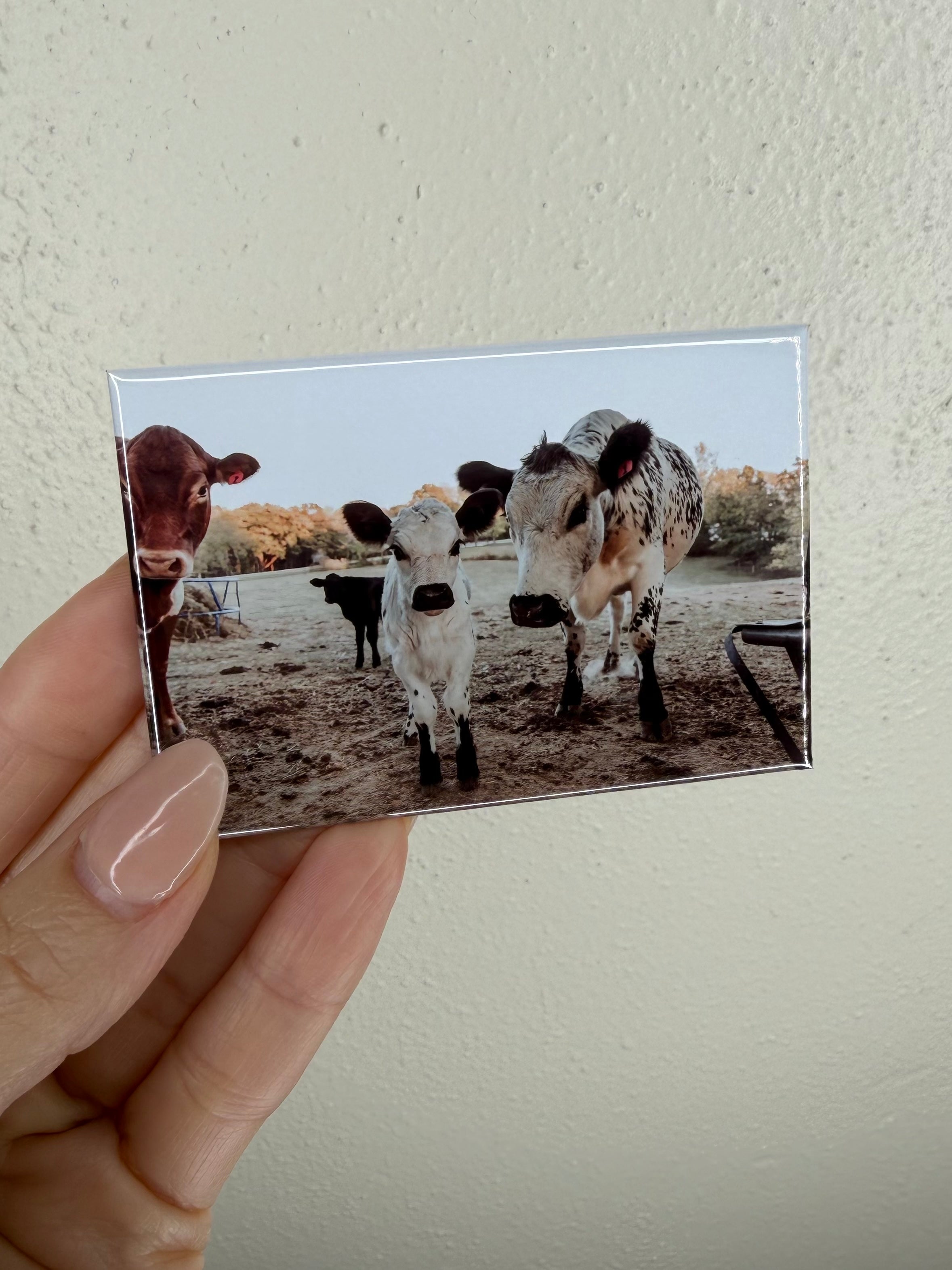 Custom Photo Magnets - 2"x 3" Rectangle